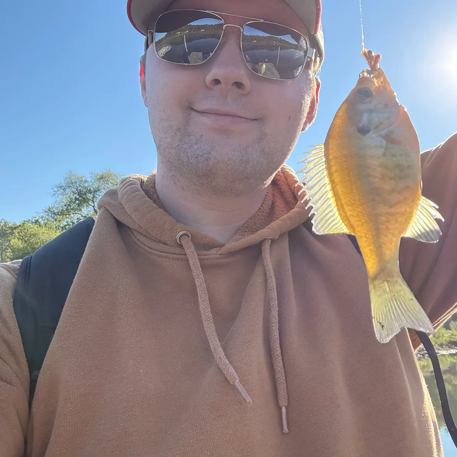 Bluegill caught on Fishbrain
