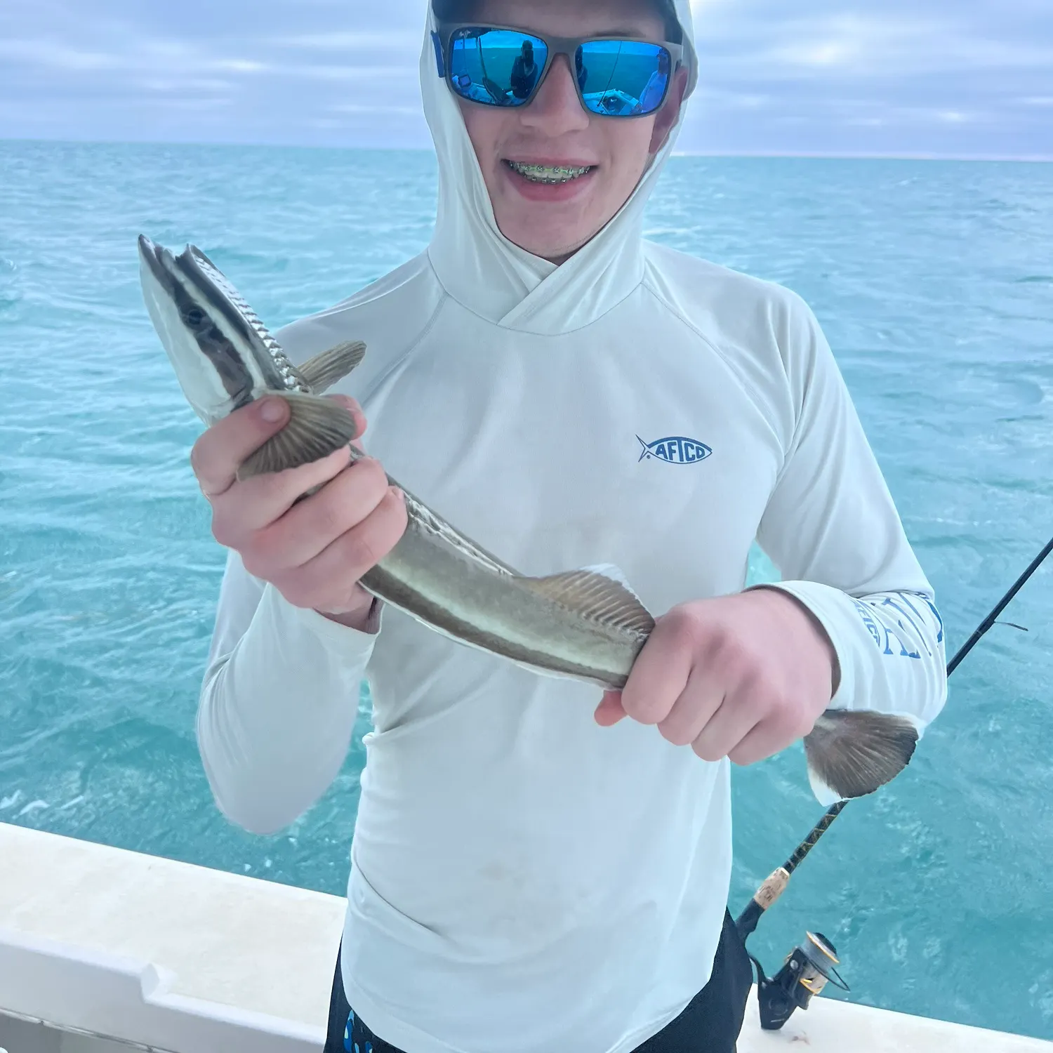 The most recent Live sharksucker catches on Fishbrain