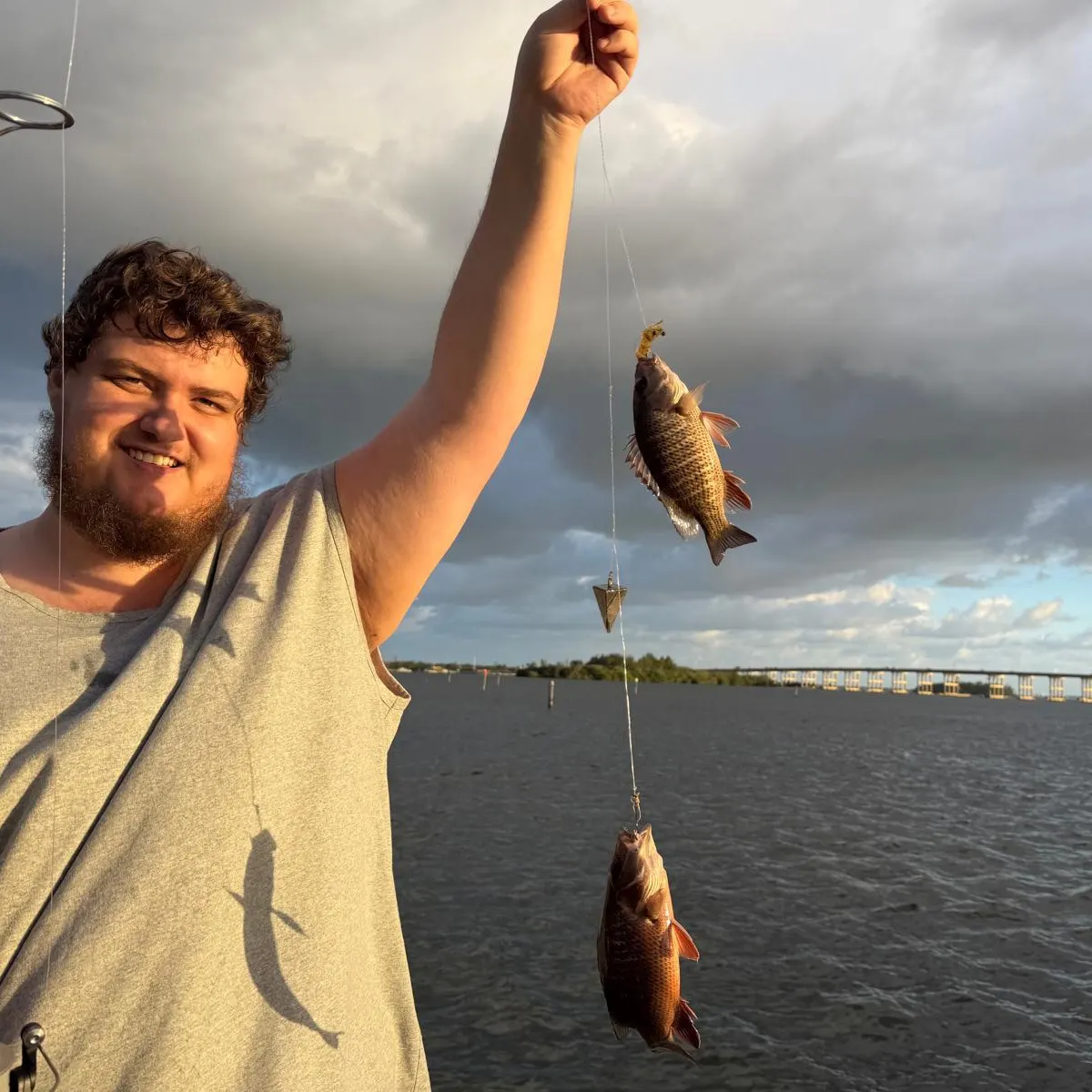 The most recent Mayan cichlid catches on Fishbrain