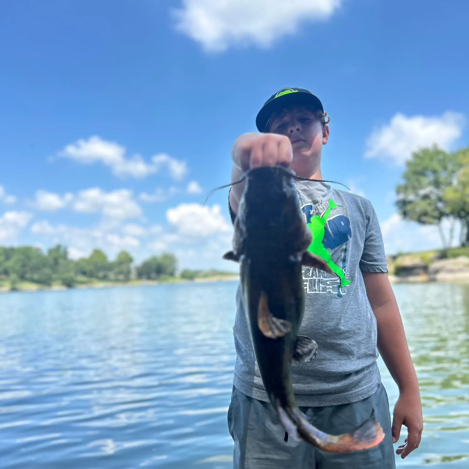 The most recent Flathead catfish catches on Fishbrain