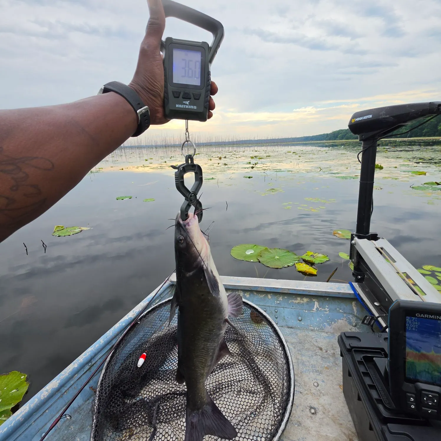 recently logged catches