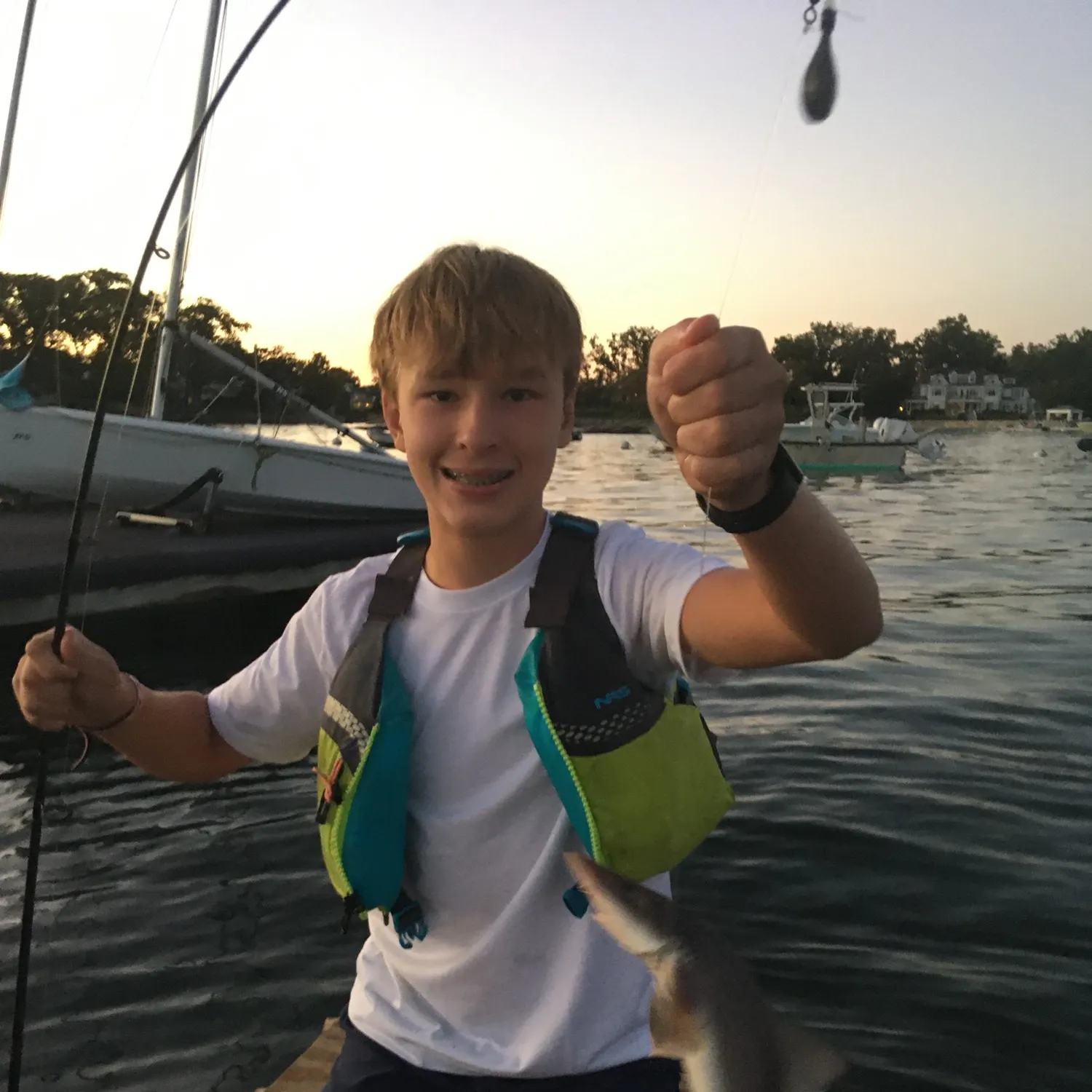 Piked dogfish caught on Fishbrain