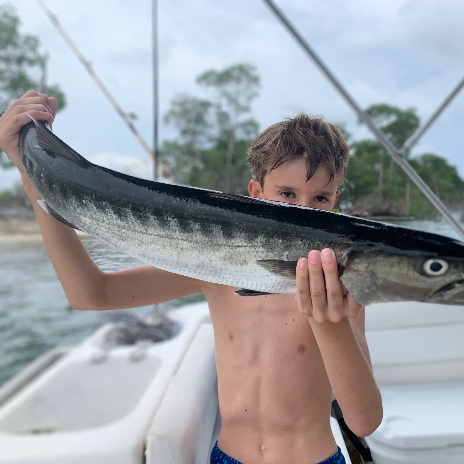 Great barracuda caught on Fishbrain