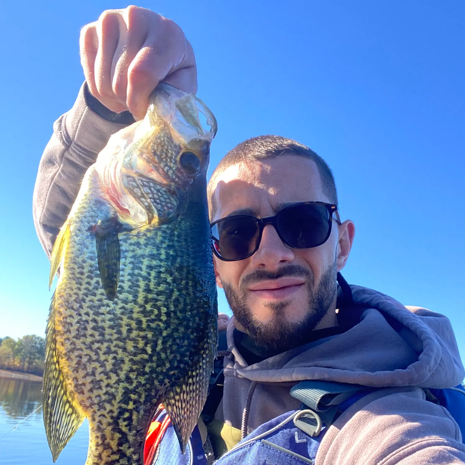 Black crappie caught on Fishbrain