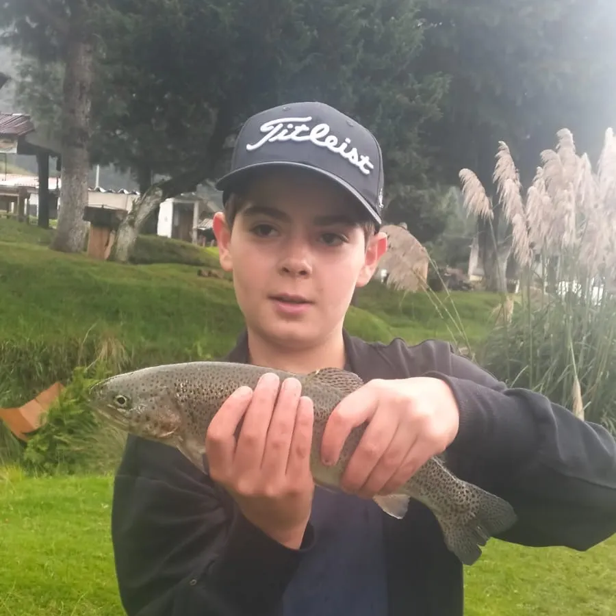 Rainbow trout caught on Fishbrain
