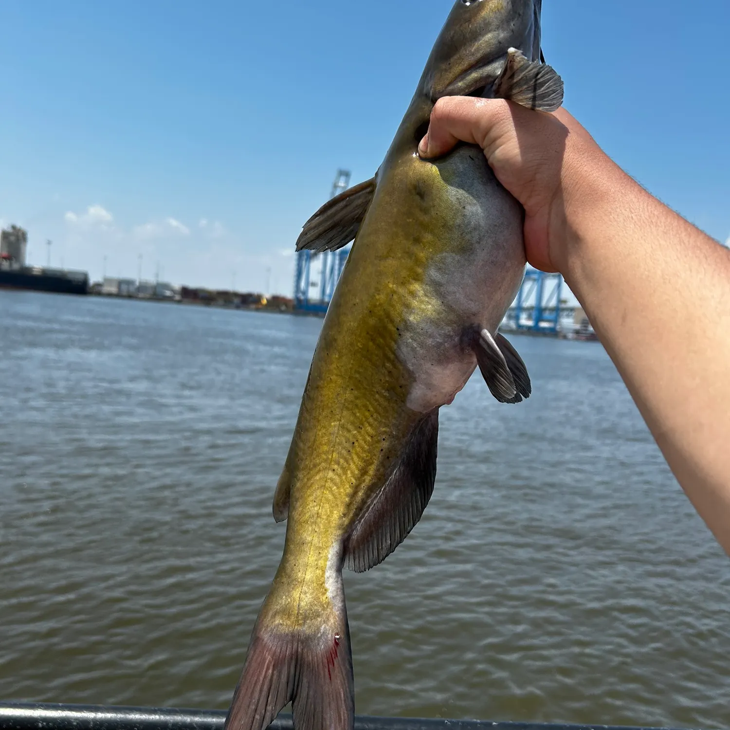 catch