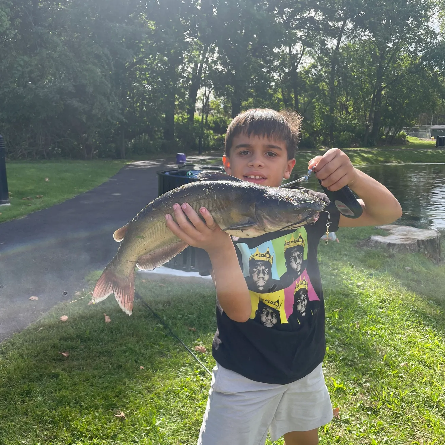 Channel catfish caught on Fishbrain