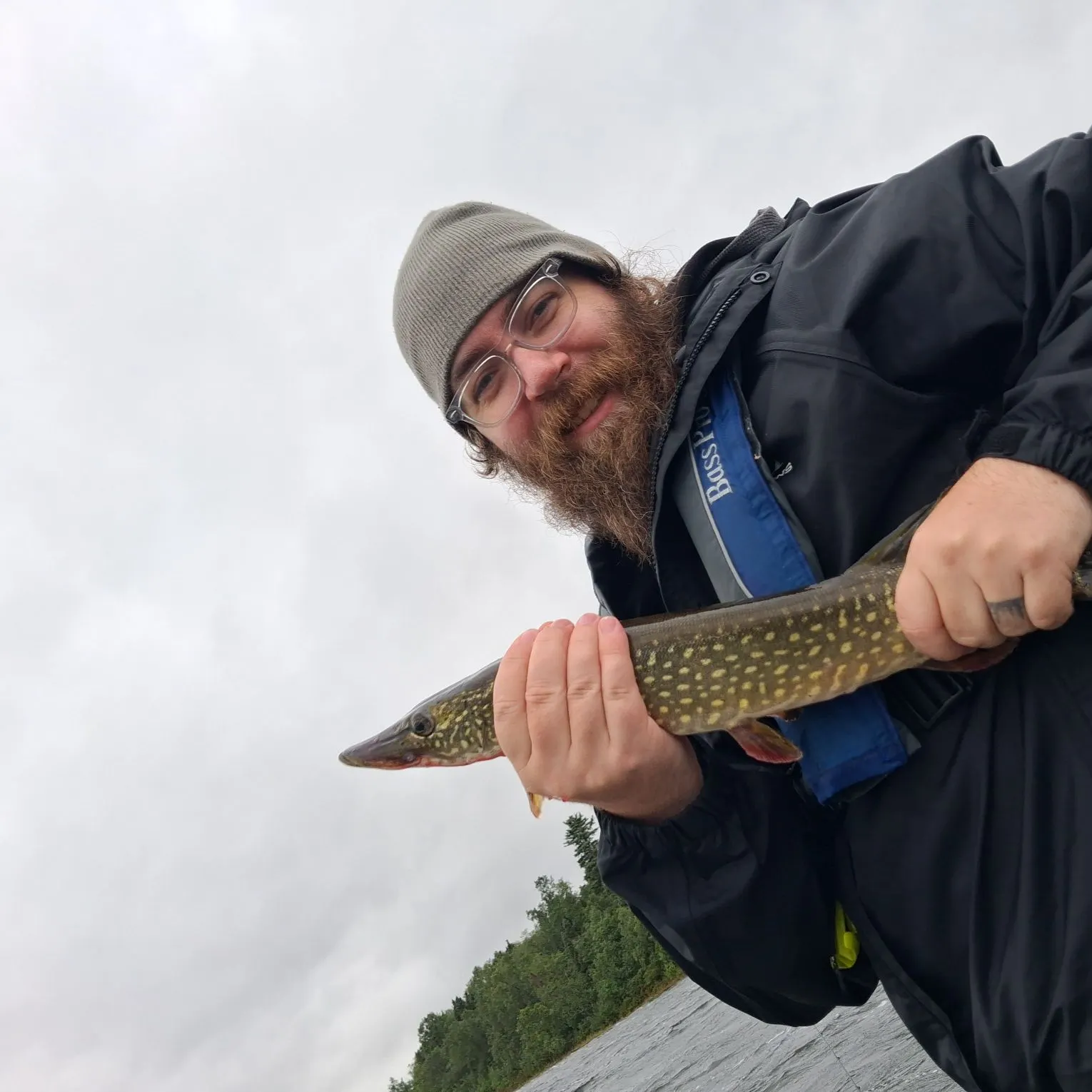 Northern pike caught on Fishbrain