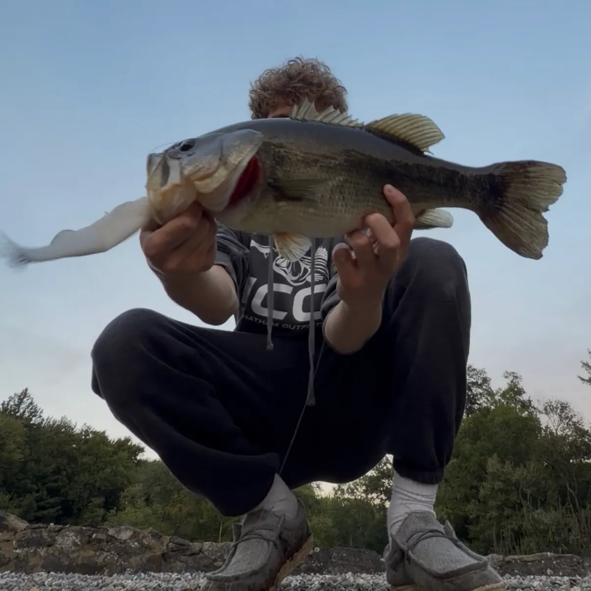 Largemouth bass caught on Fishbrain