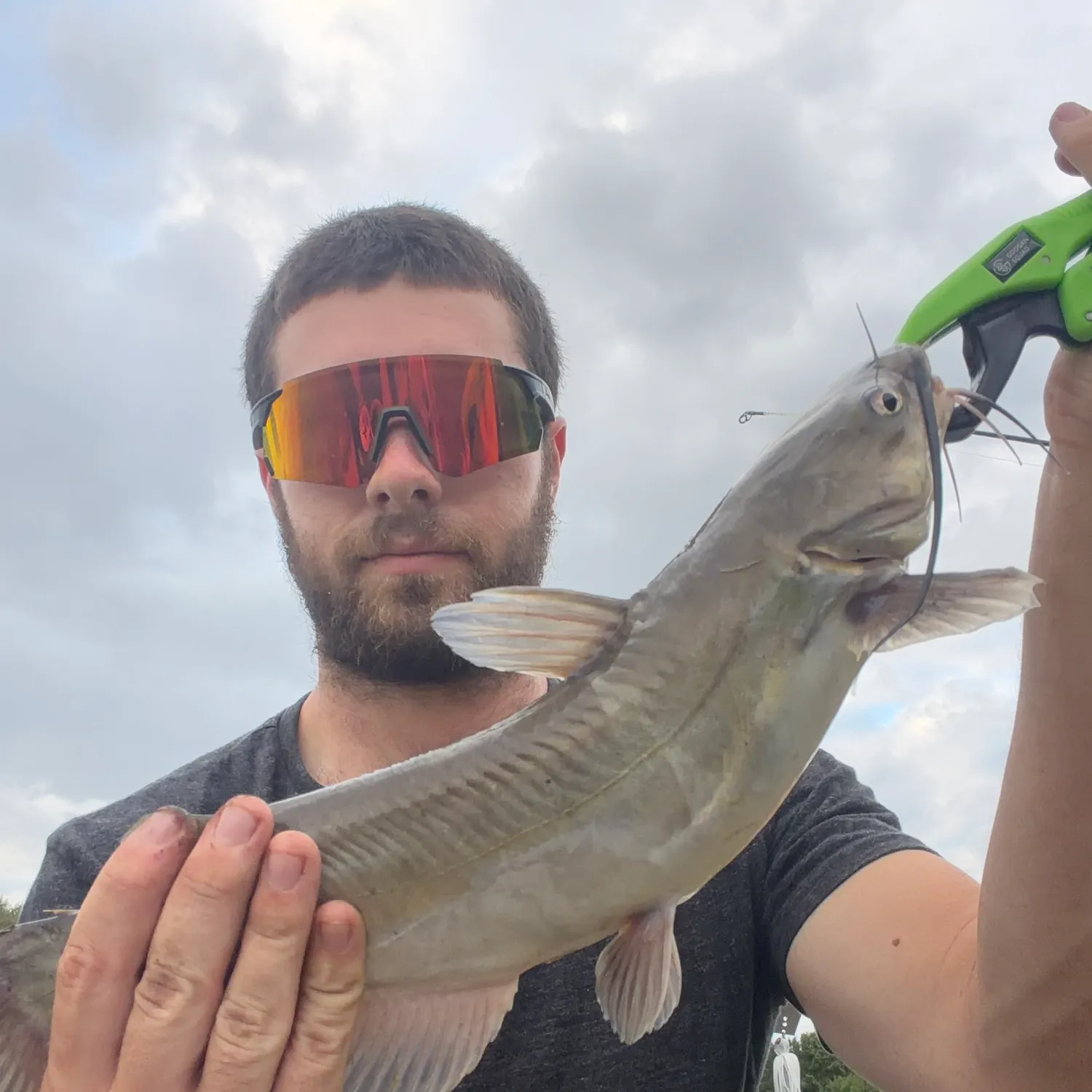 Channel catfish caught on Fishbrain