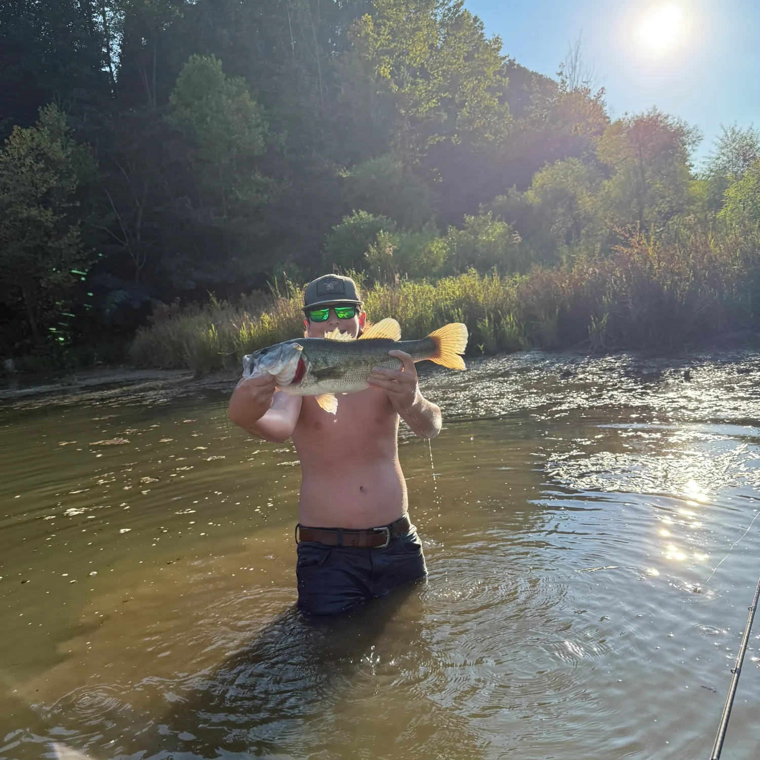Largemouth bass caught on Fishbrain