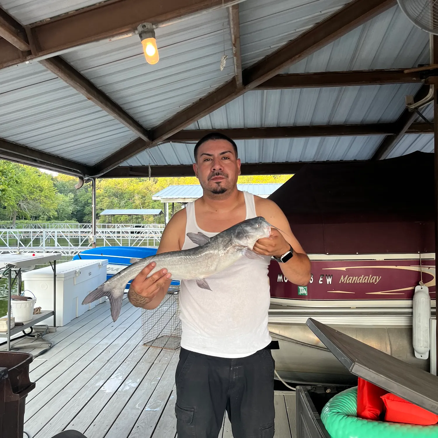 Blue catfish caught on Fishbrain