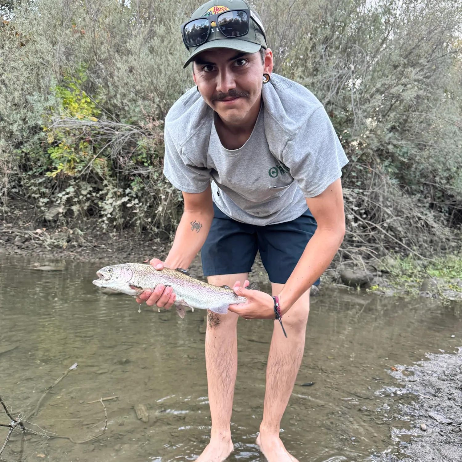 Rainbow trout caught on Fishbrain