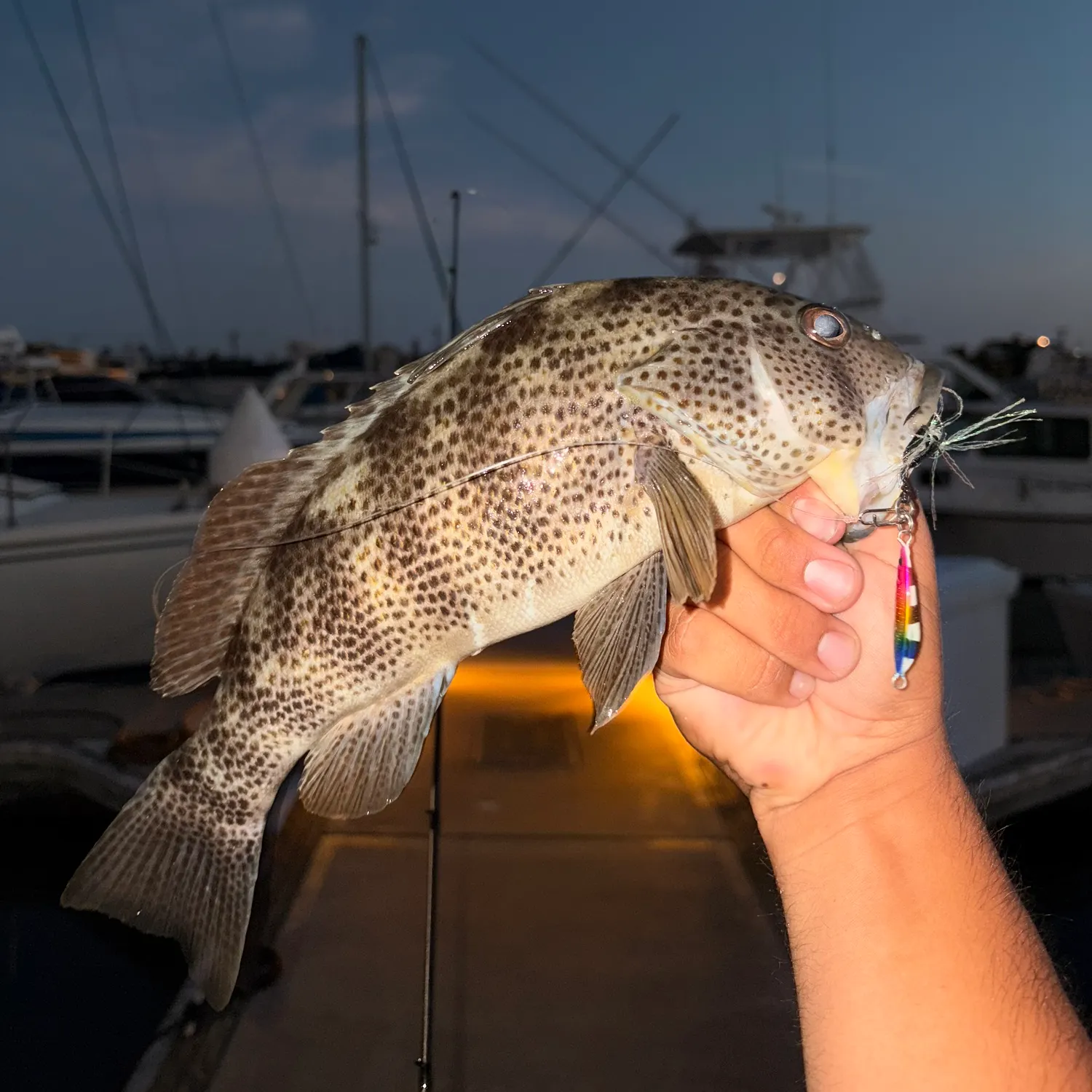 catch