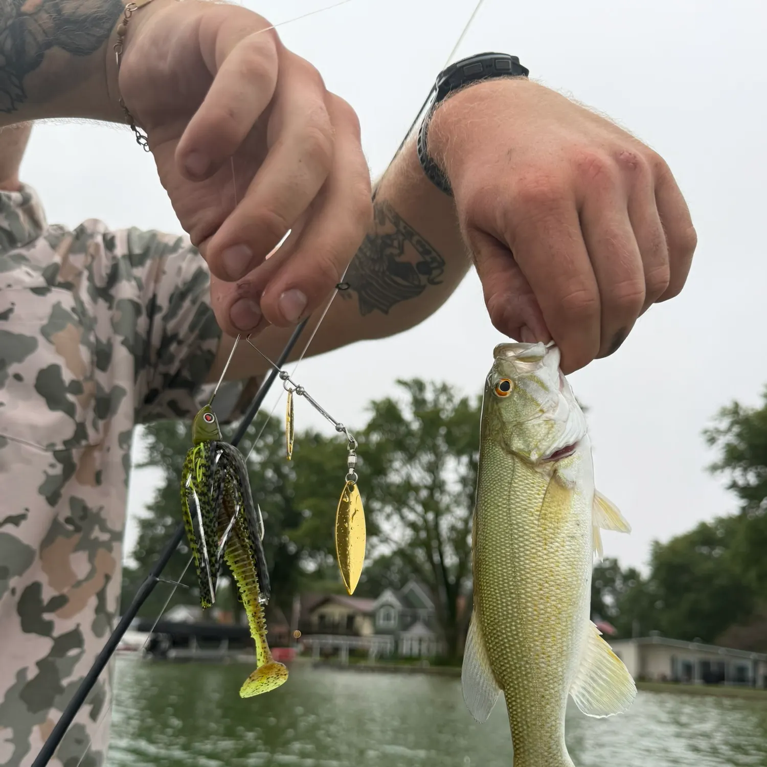 Smallmouth bass caught on Fishbrain