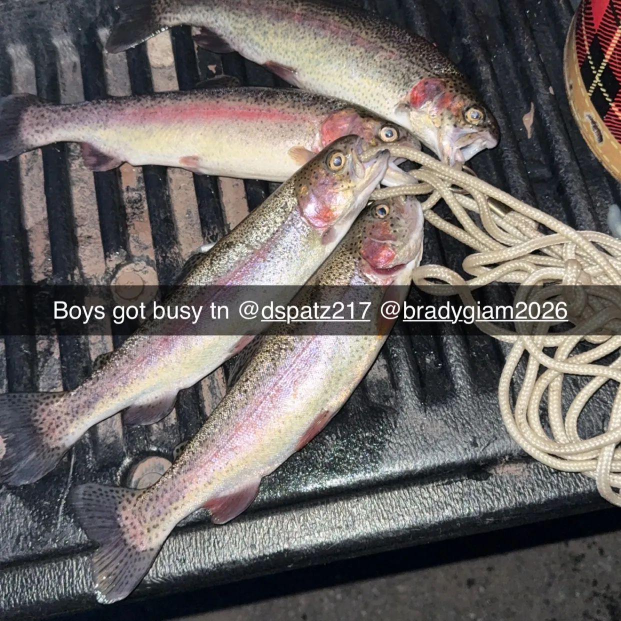 recently logged catches