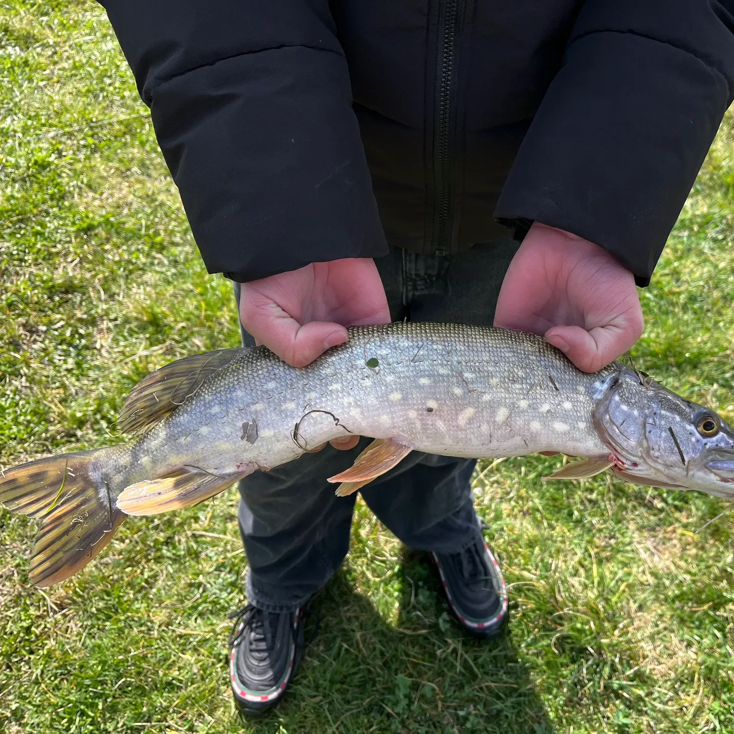 catch
