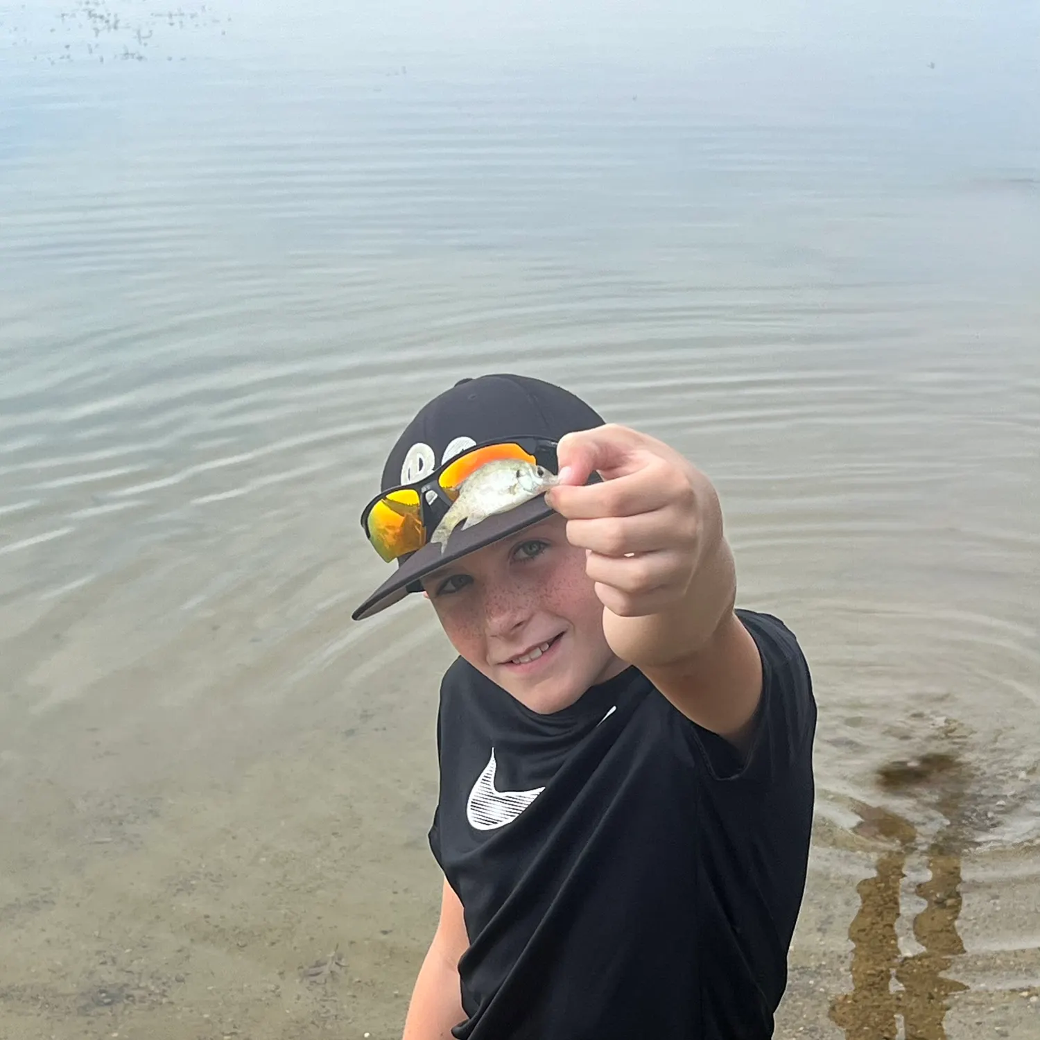 Fish caught on Fishbrain