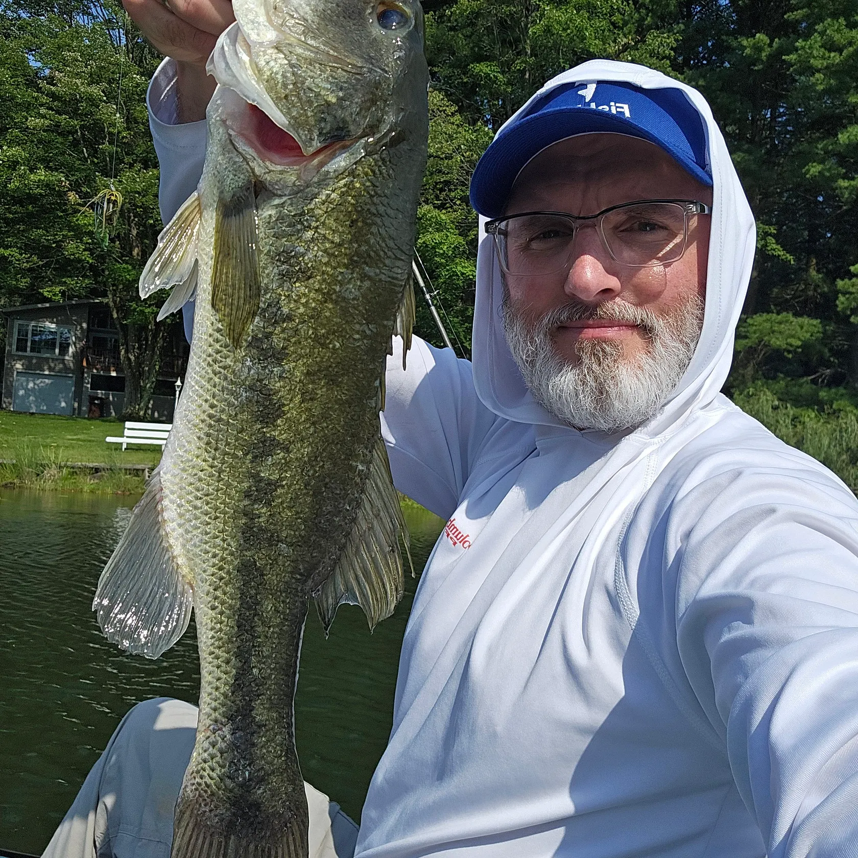 Largemouth bass caught on Fishbrain