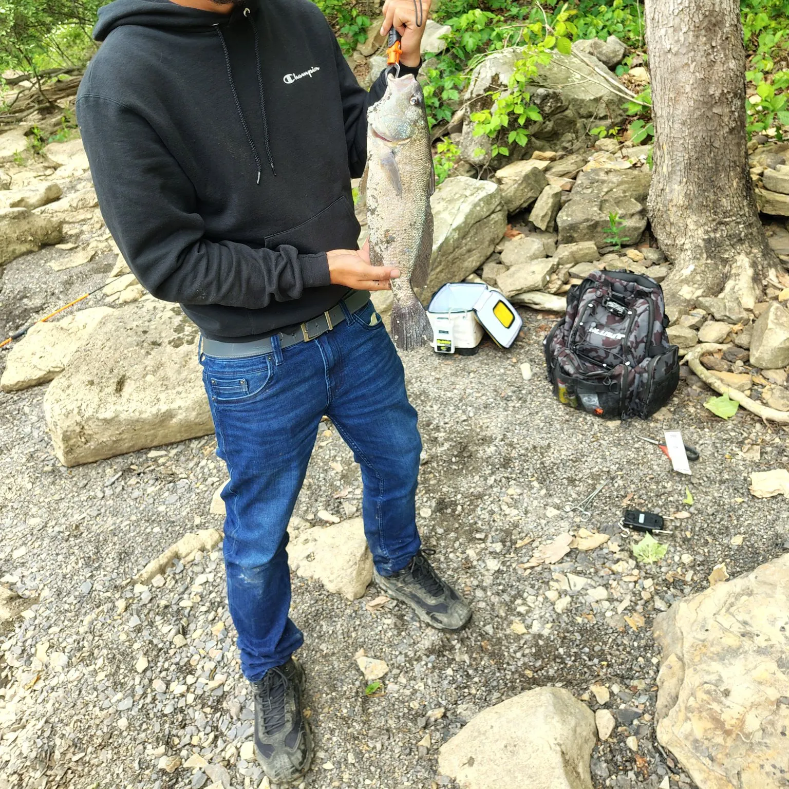 catch