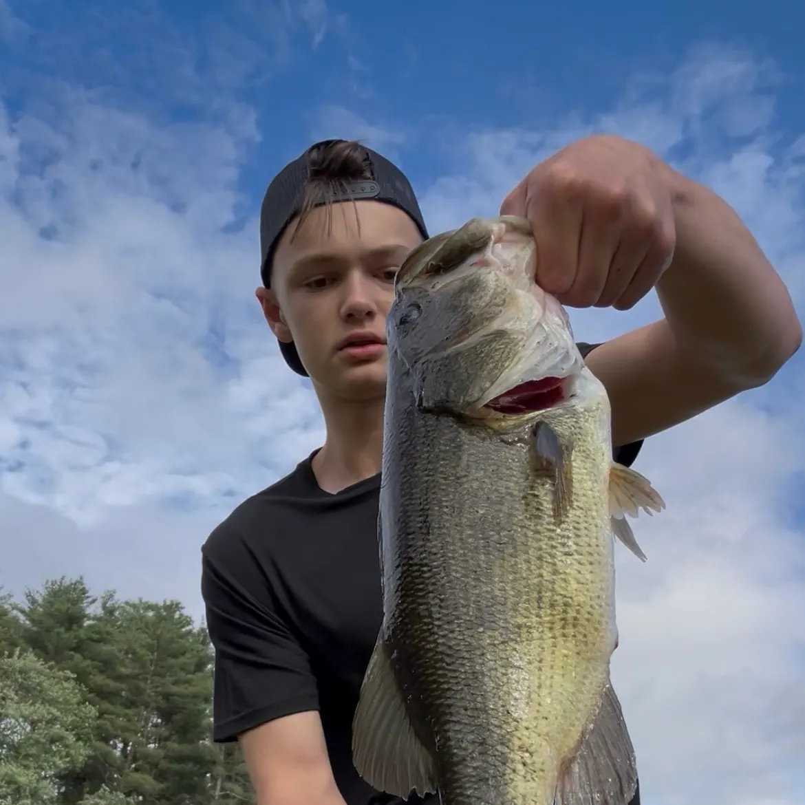 Largemouth bass caught on Fishbrain