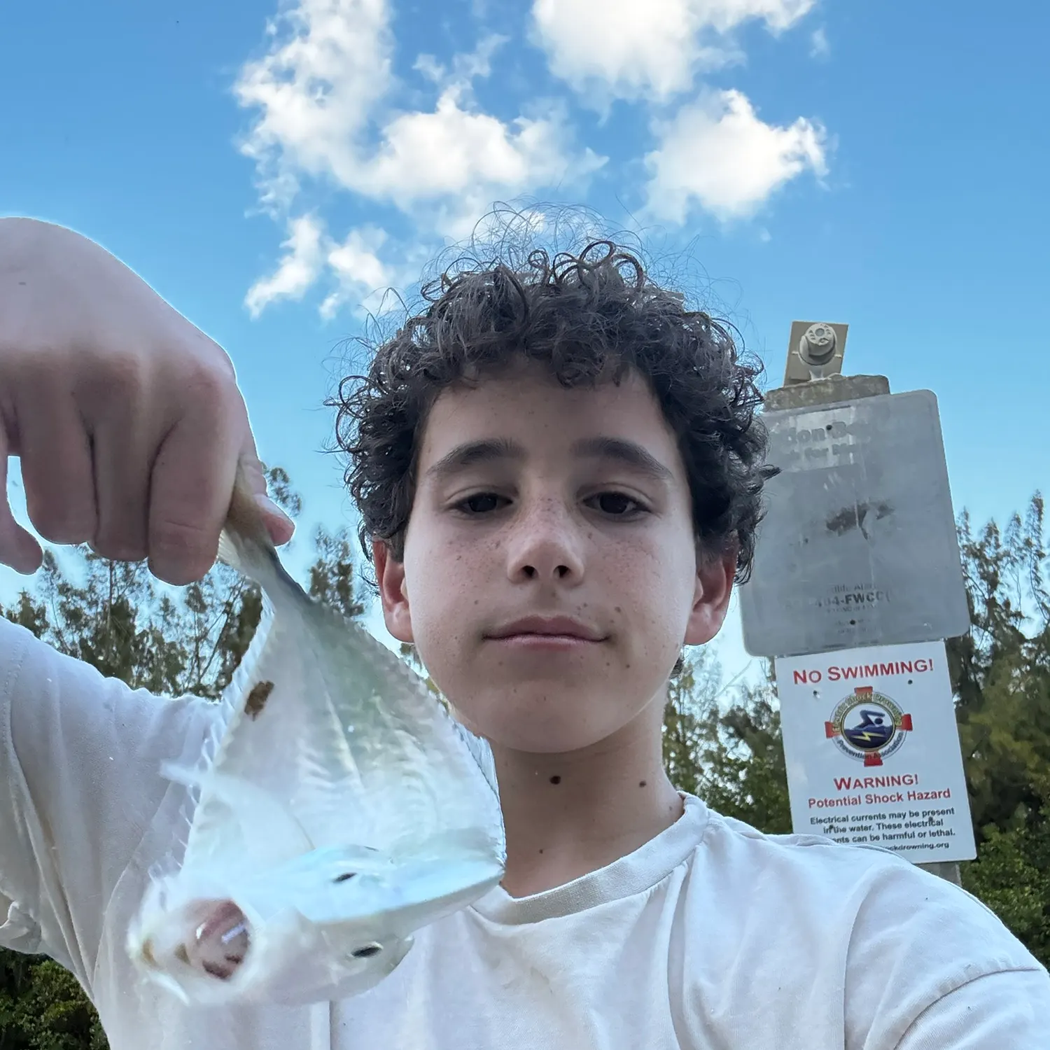 The most recent Lookdown catches on Fishbrain