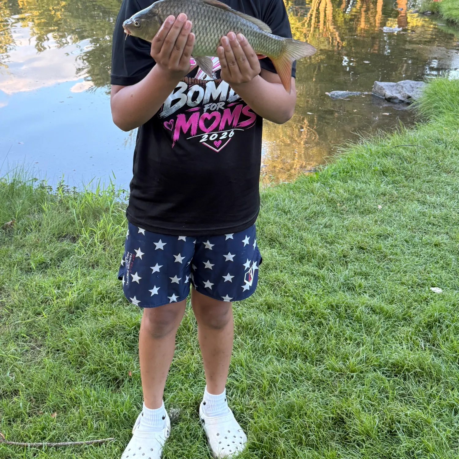 Common carp caught on Fishbrain
