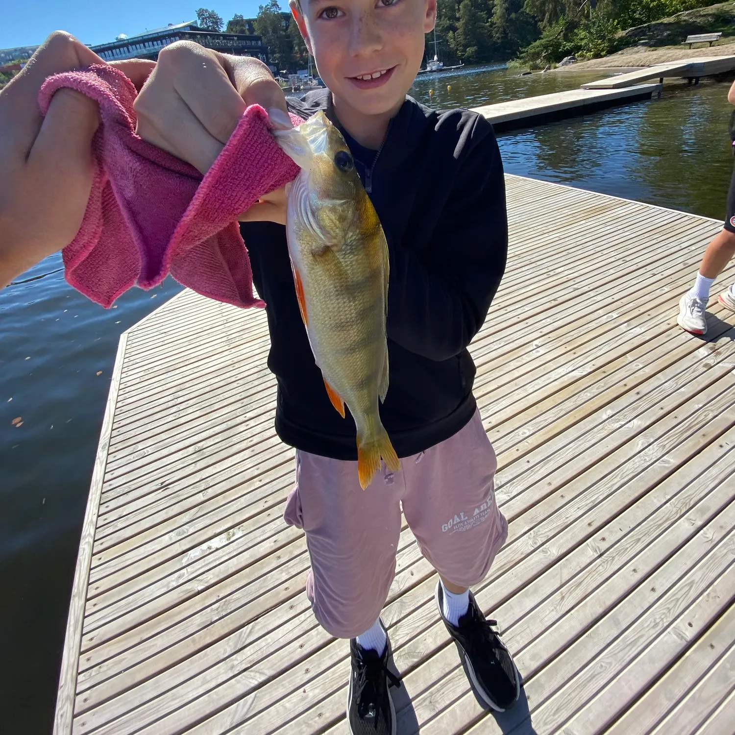 European perch caught on Fishbrain