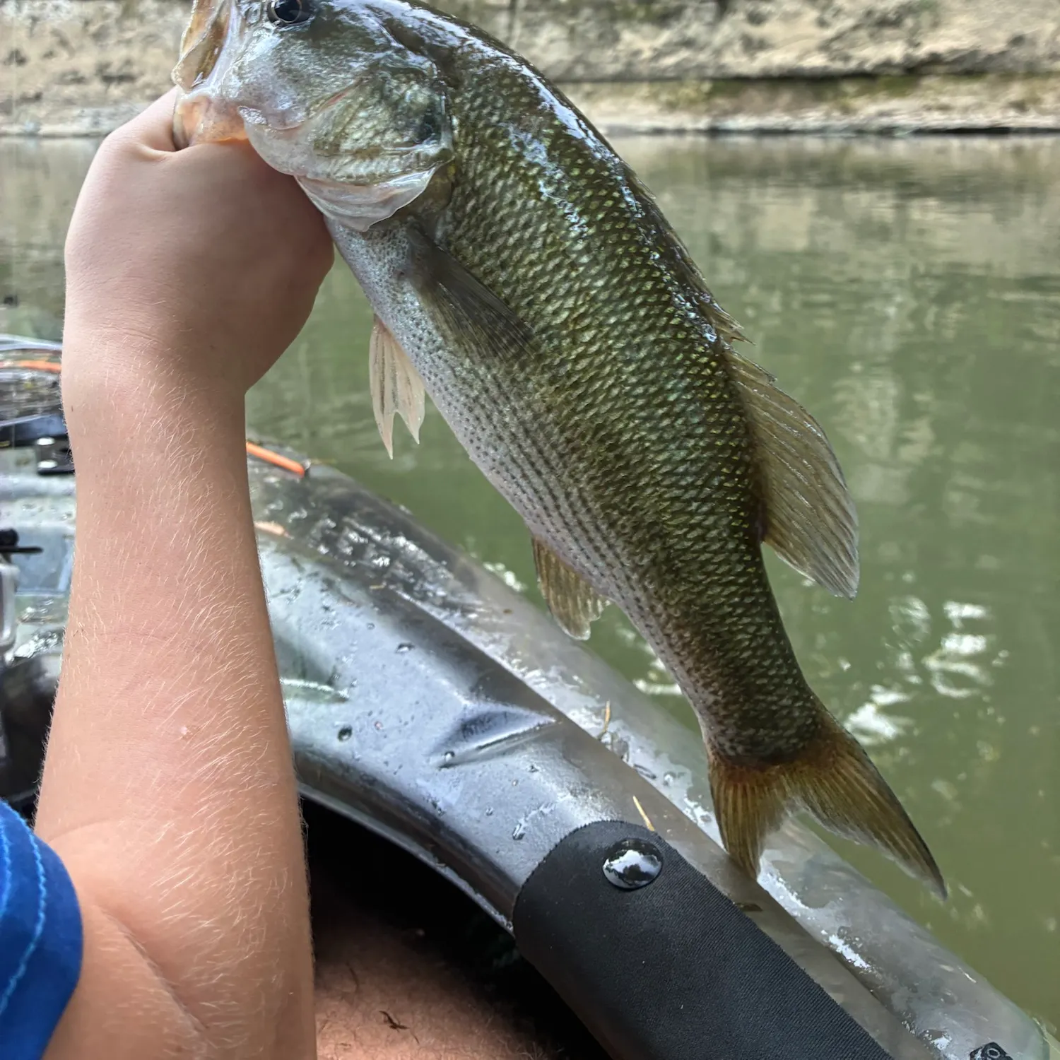 Spotted bass caught on Fishbrain