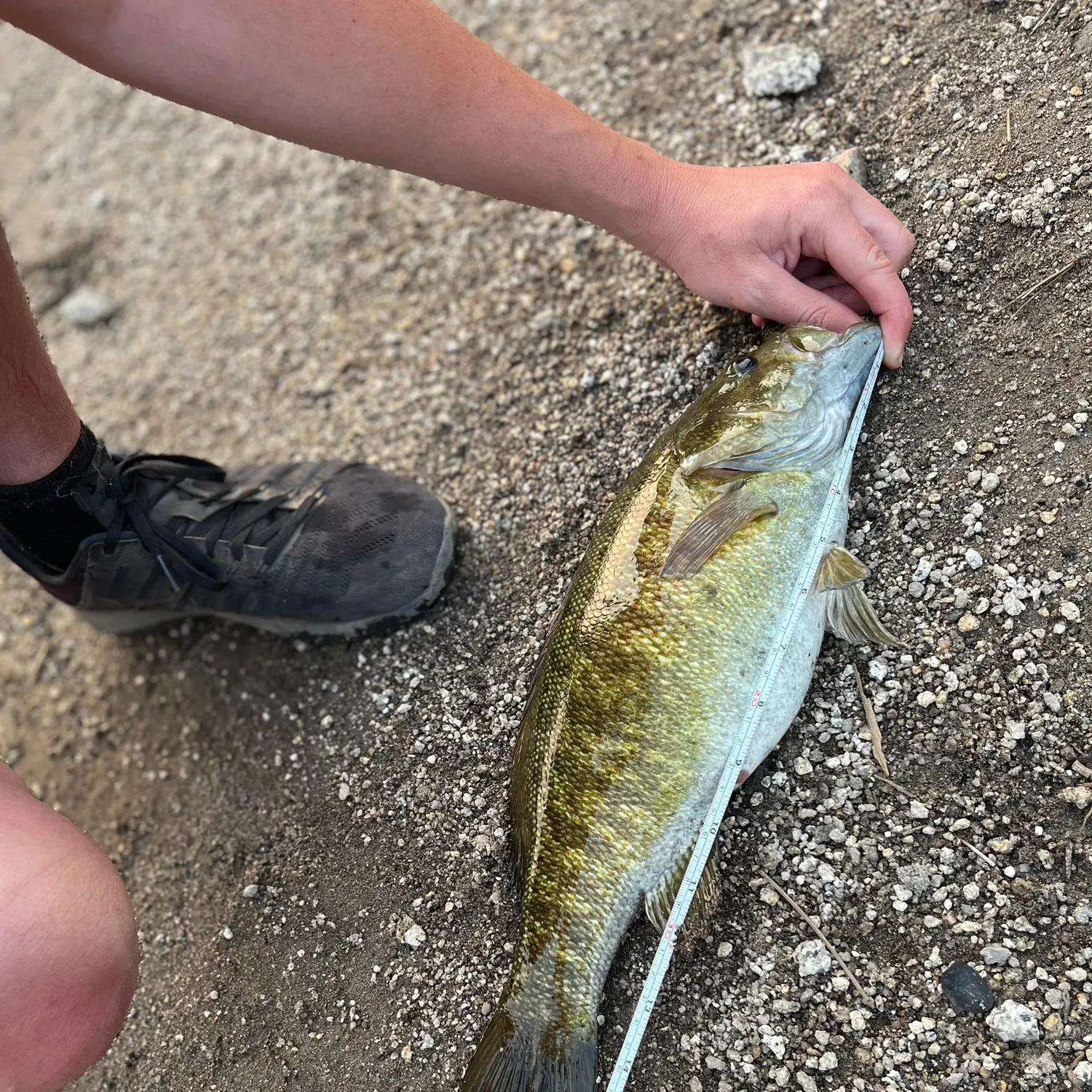 angler catch