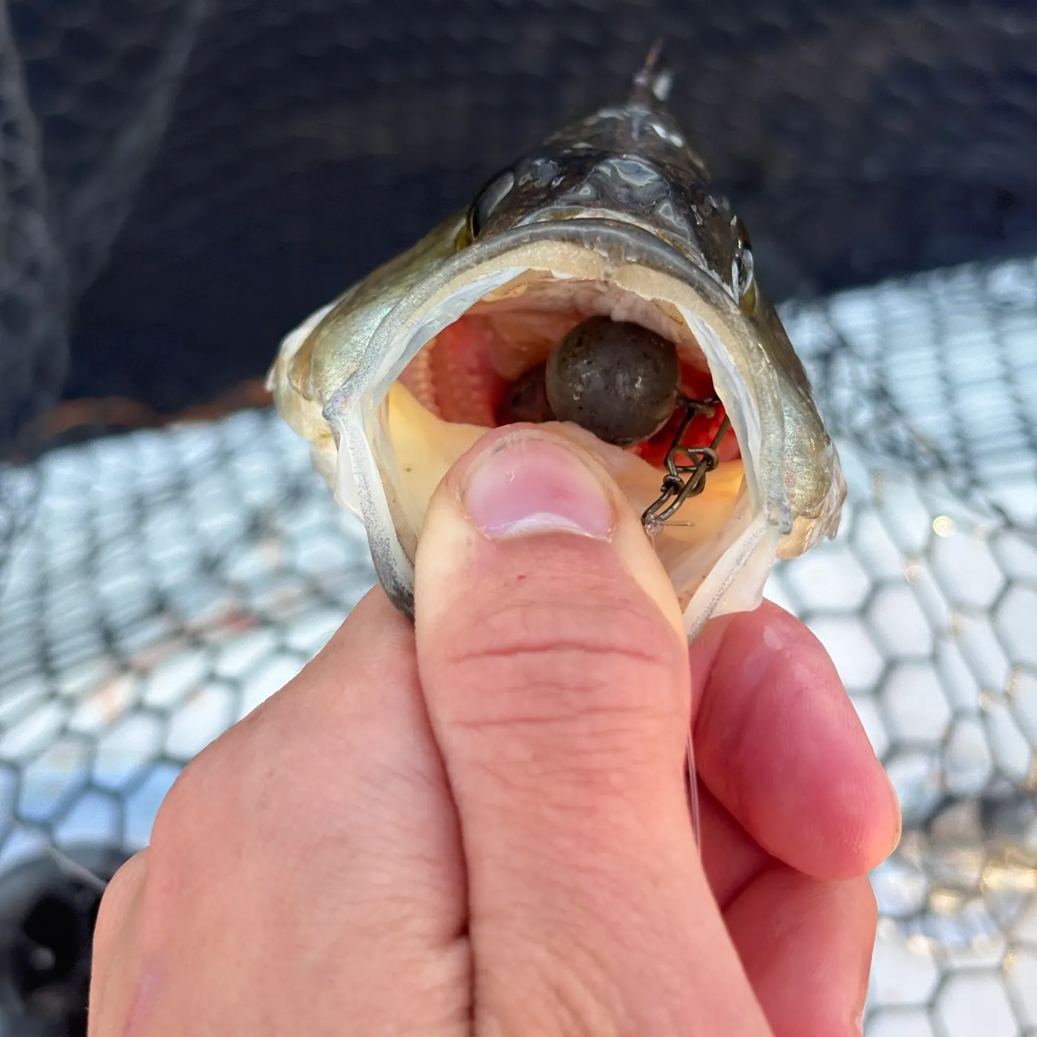 catch