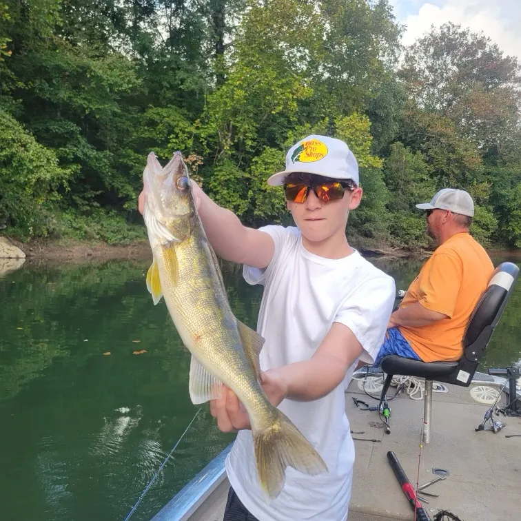 Walleye caught on Fishbrain