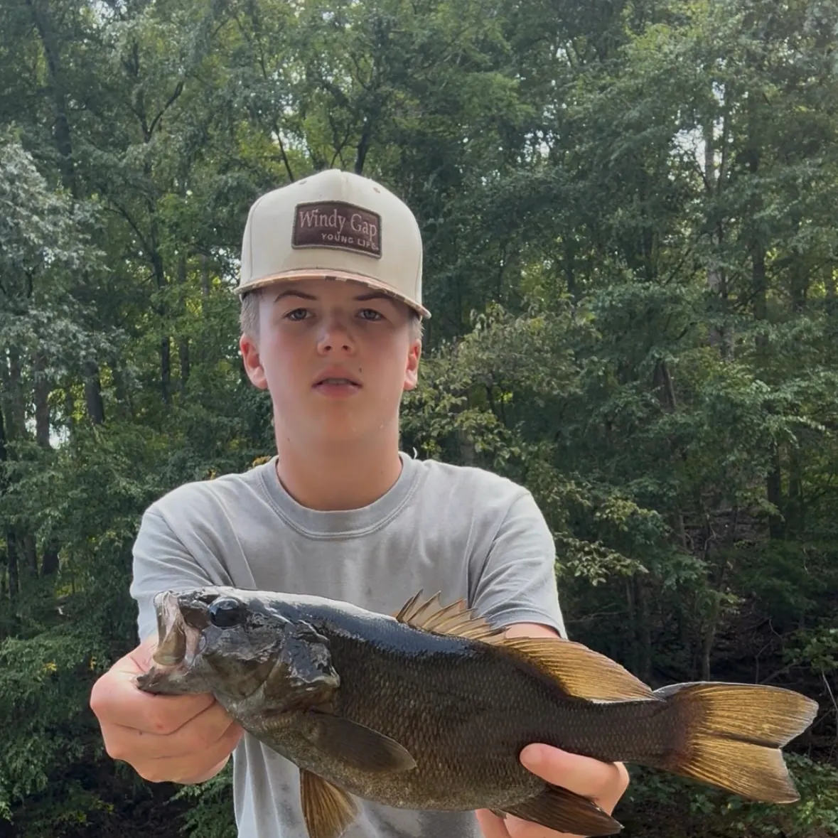 Smallmouth bass caught on Fishbrain
