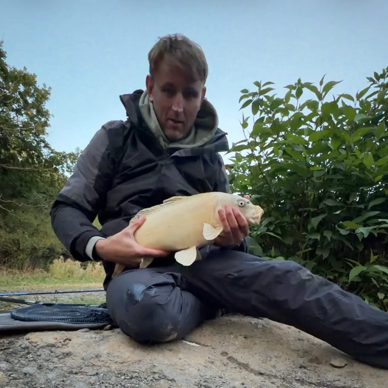 Mirror carp caught on Fishbrain