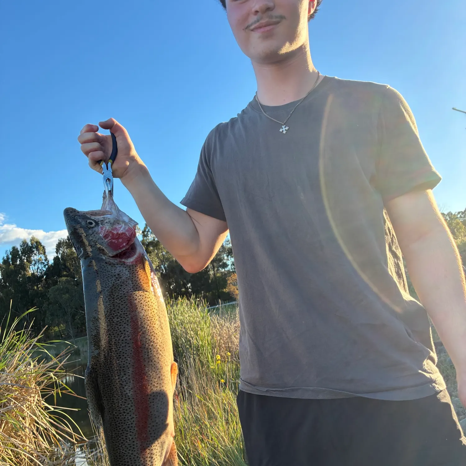 Rainbow trout caught on Fishbrain