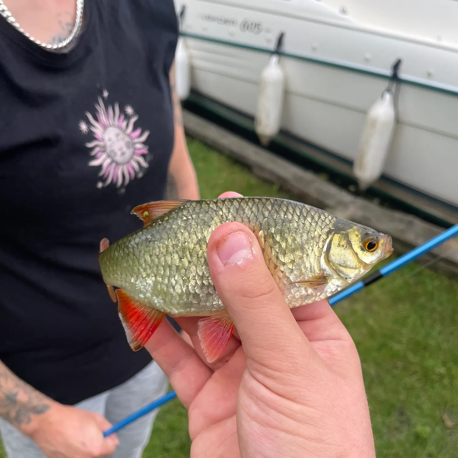 Common rudd caught on Fishbrain