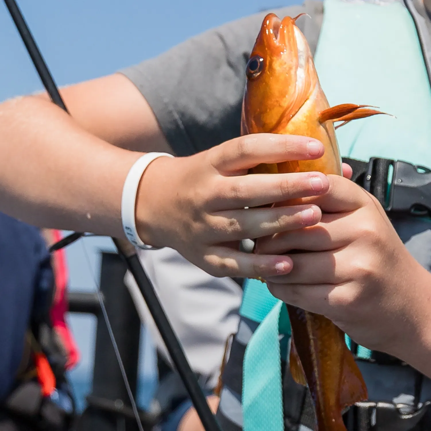 The most recent Atlantic cod catches on Fishbrain