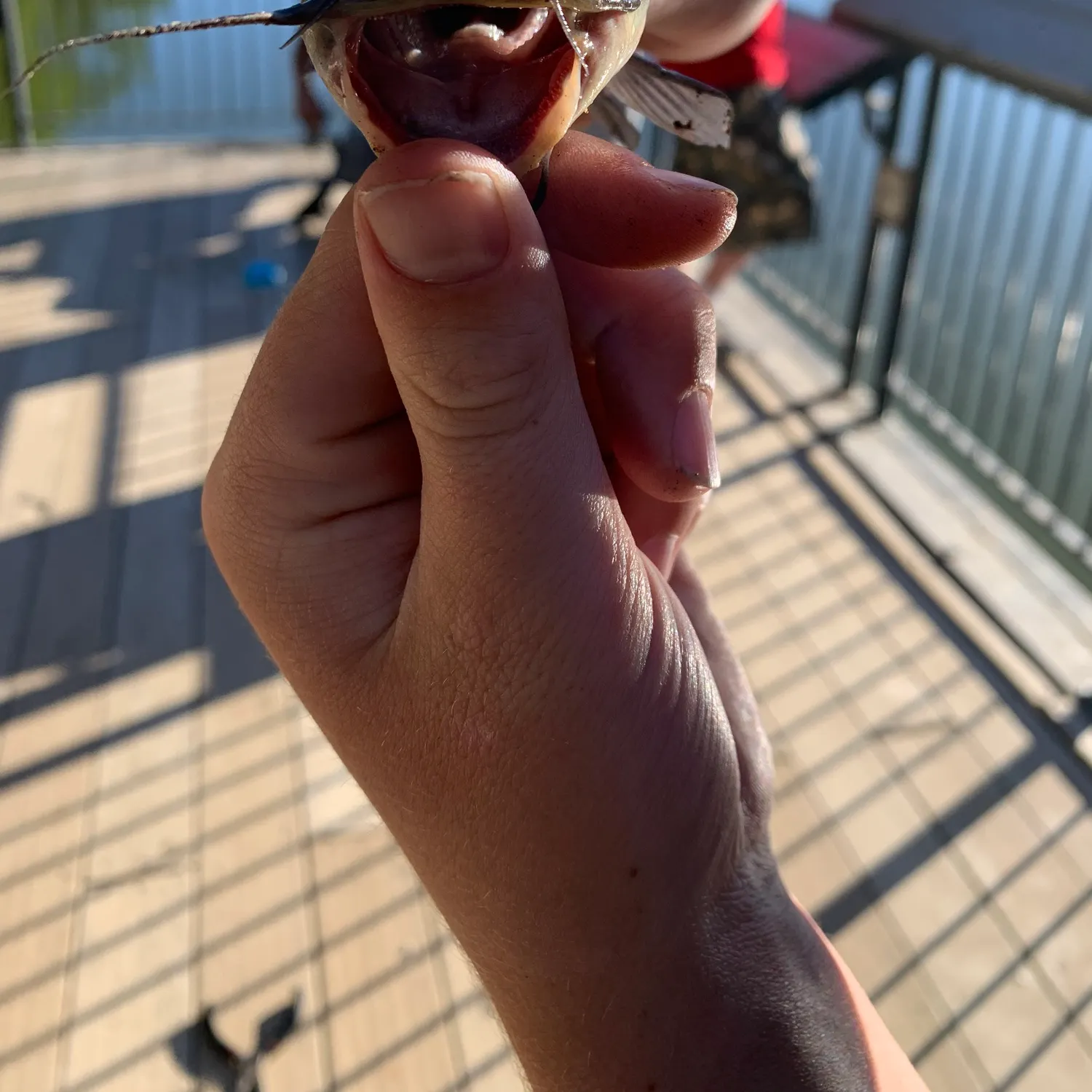 catch