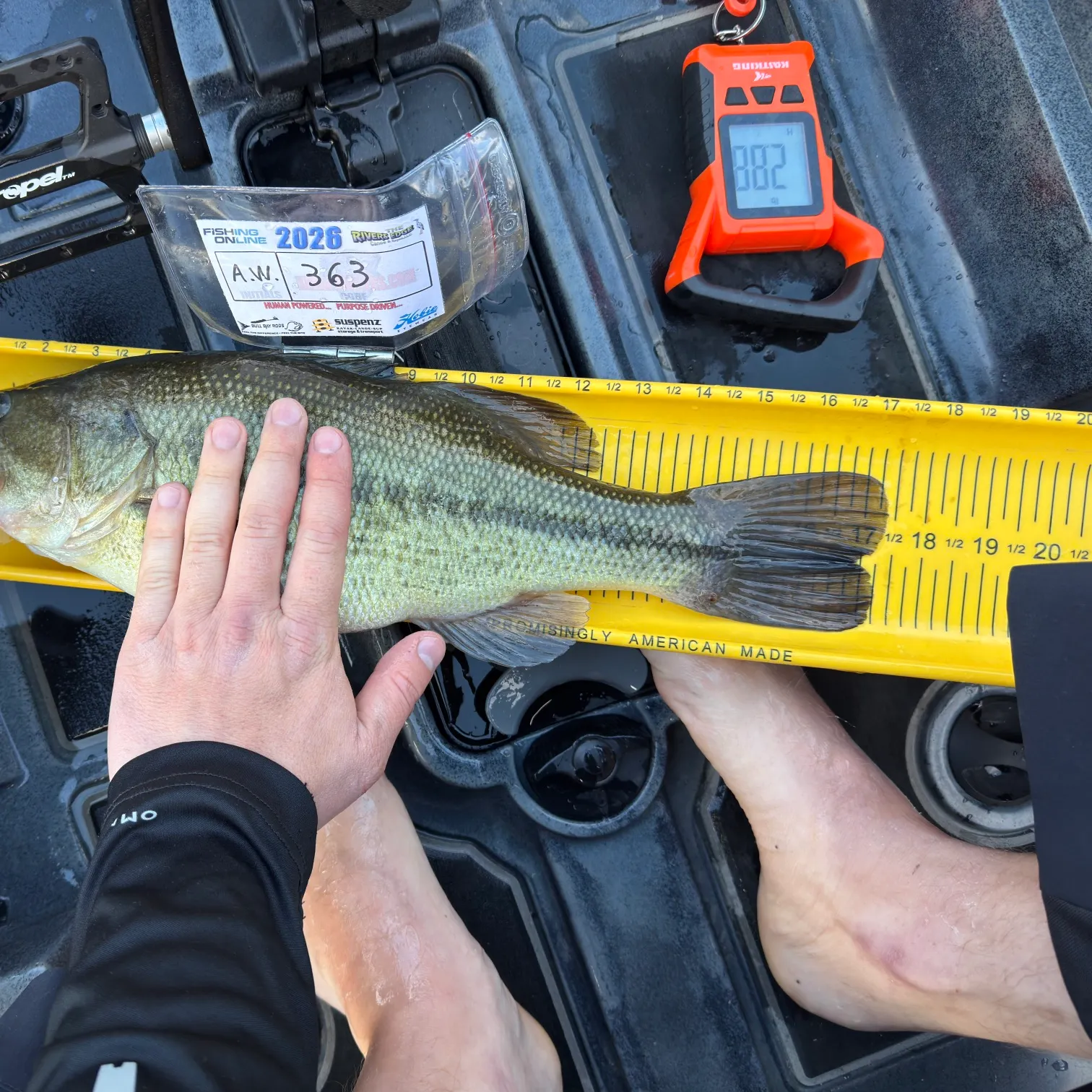 recently logged catches