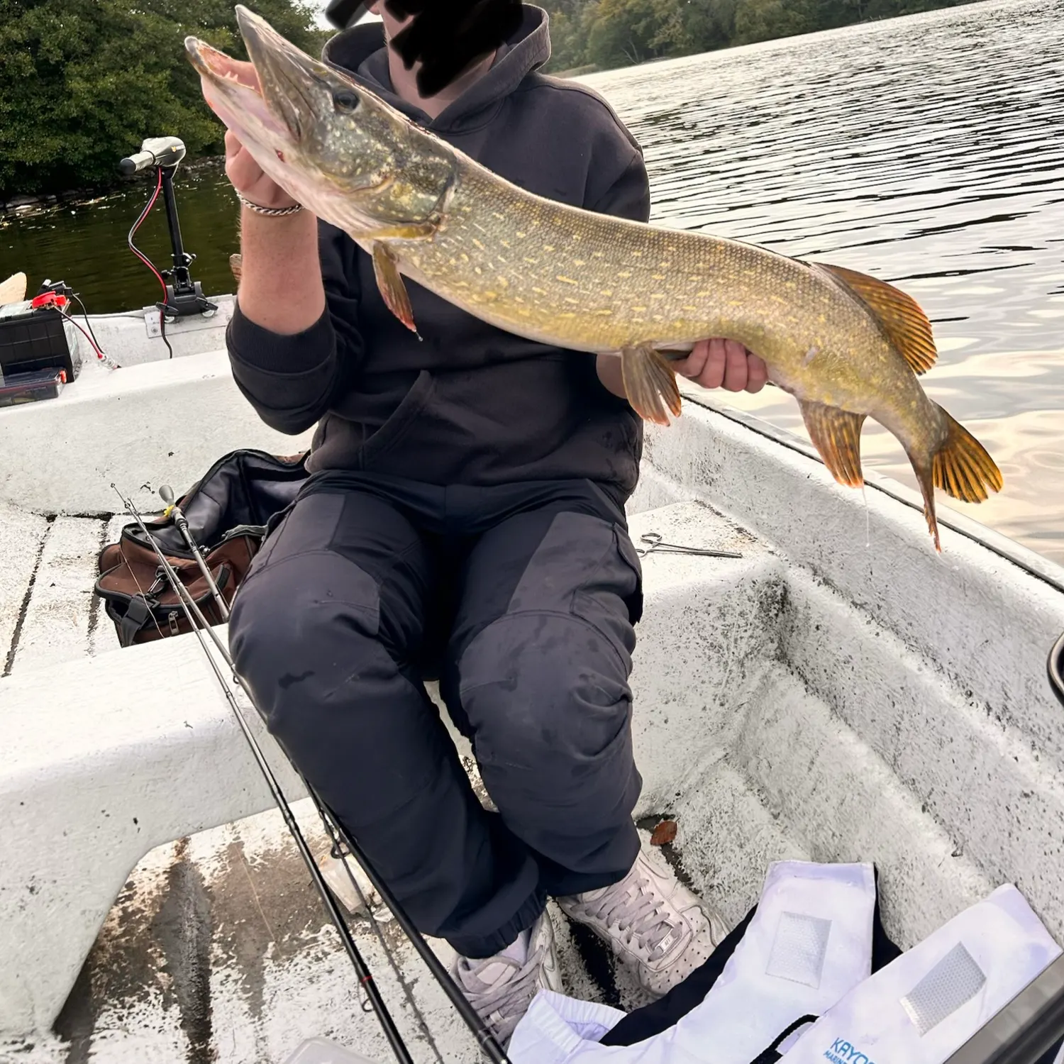 Northern pike caught on Fishbrain