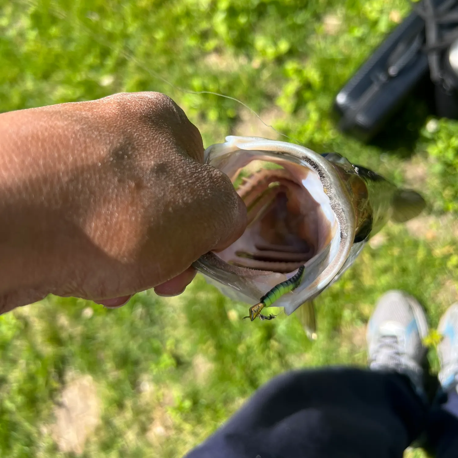 catch