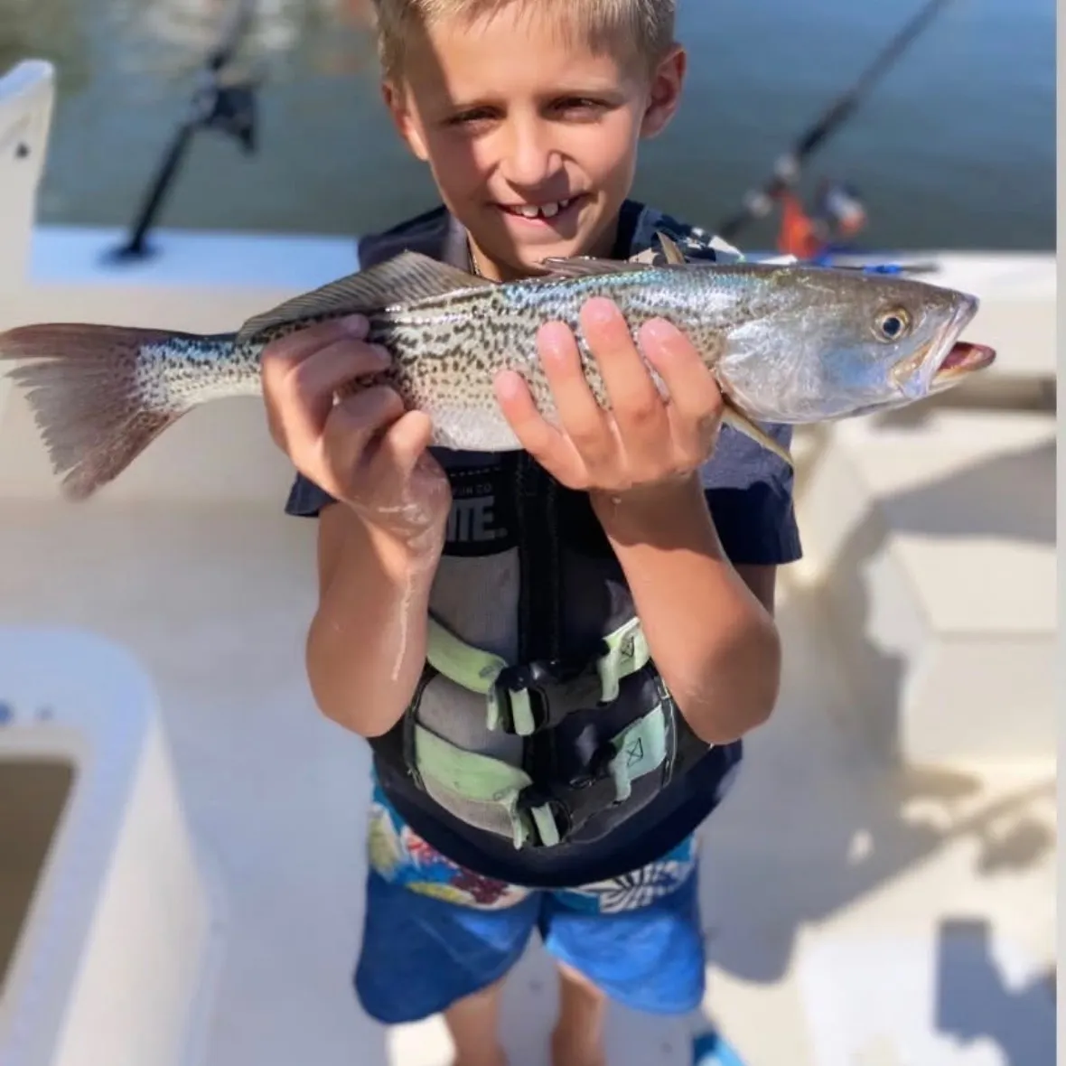 Gray weakfish caught on Fishbrain