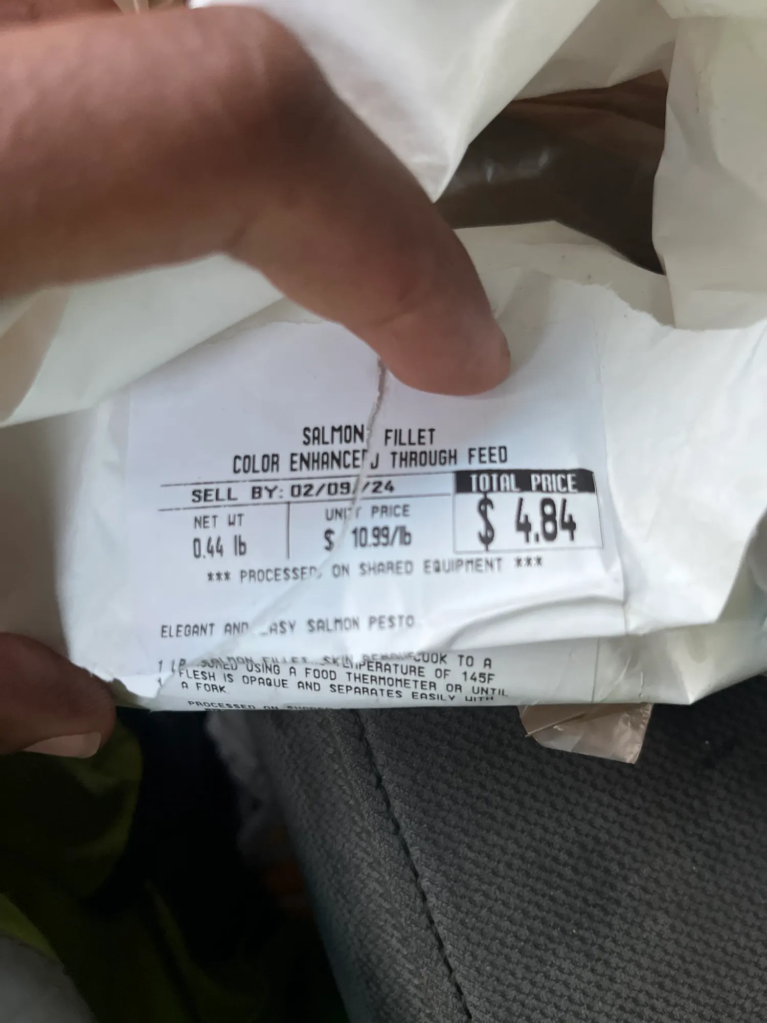 Salmon Fillets