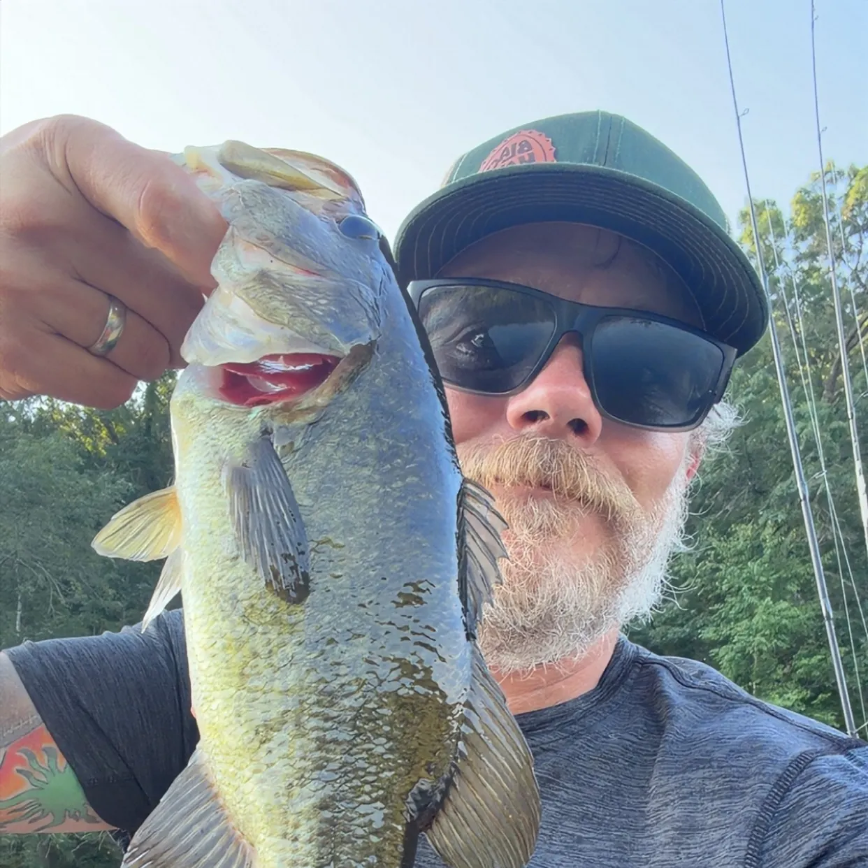 Largemouth bass caught on Fishbrain