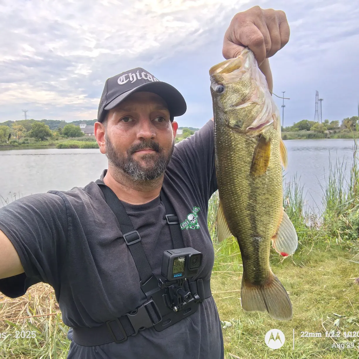 Largemouth bass caught on Fishbrain