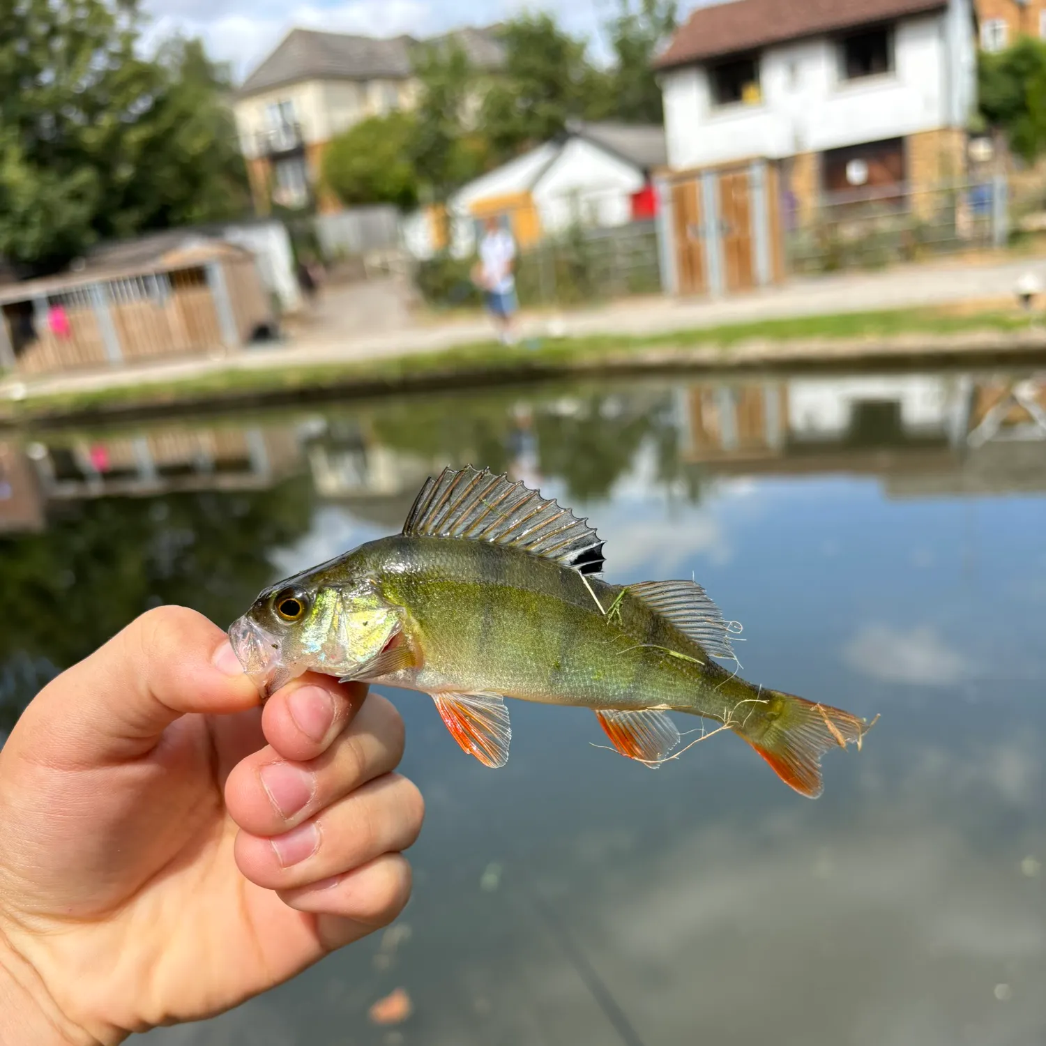 catch