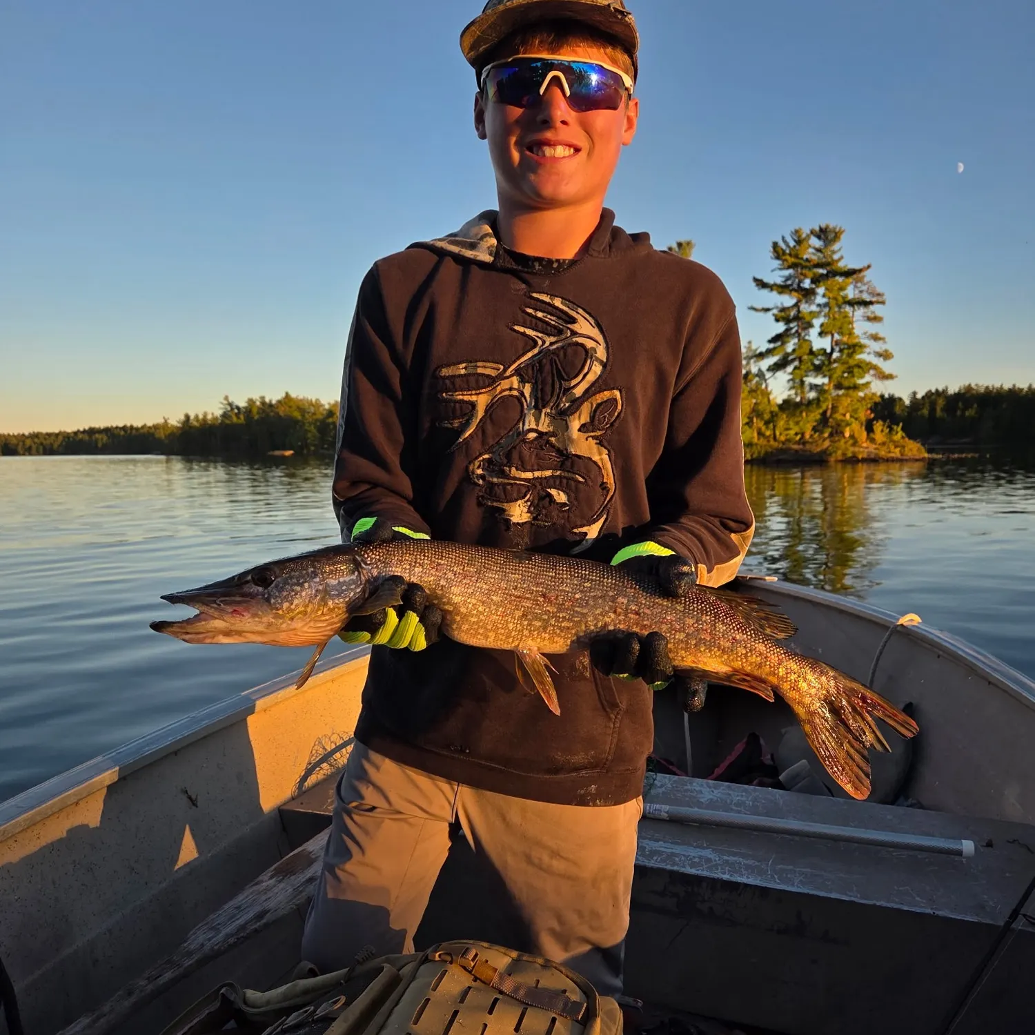 Northern pike caught on Fishbrain