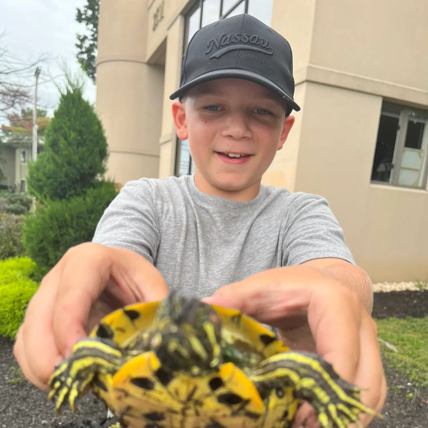 The most recent Pond slider turtle catches on Fishbrain