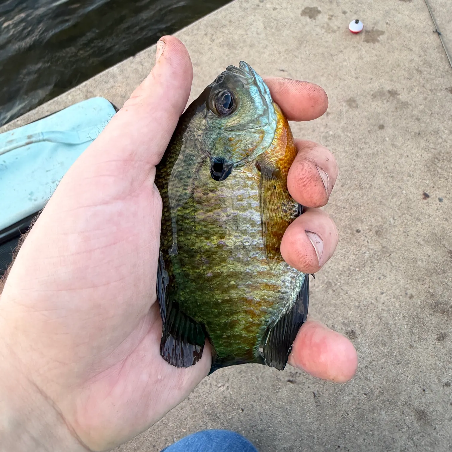 catch