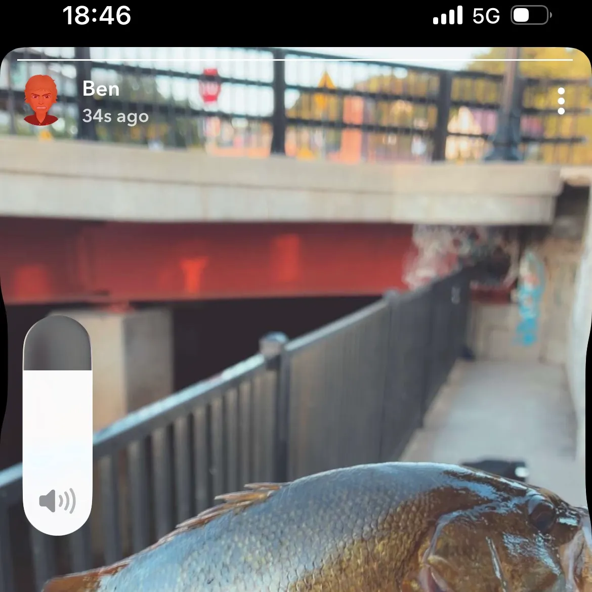 Smallmouth bass caught on Fishbrain